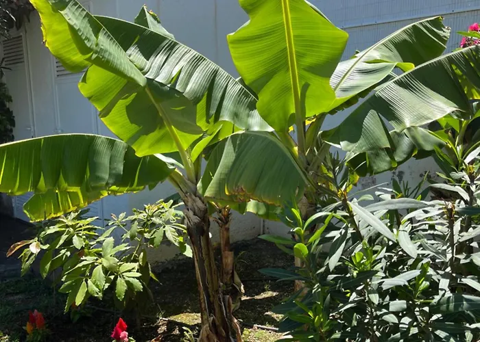 Casa Janni With Heated Private Pool *